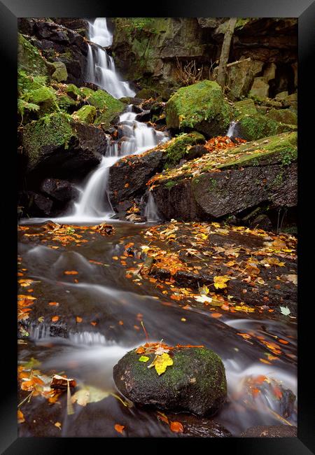 Lumsdale Falls in Autumn Framed Print by Darren Galpin