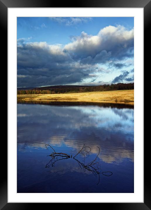 Longshaw Reflections Framed Mounted Print by Darren Galpin
