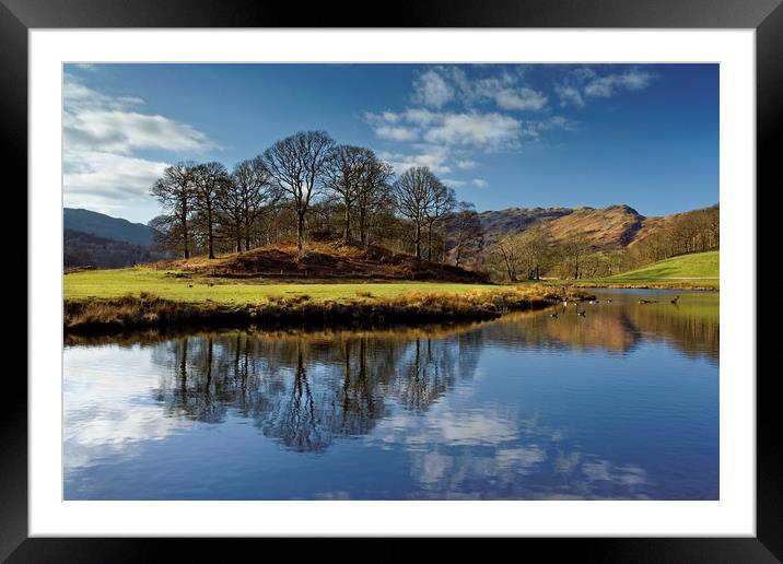 River Brathay Reflections                          Framed Mounted Print by Darren Galpin