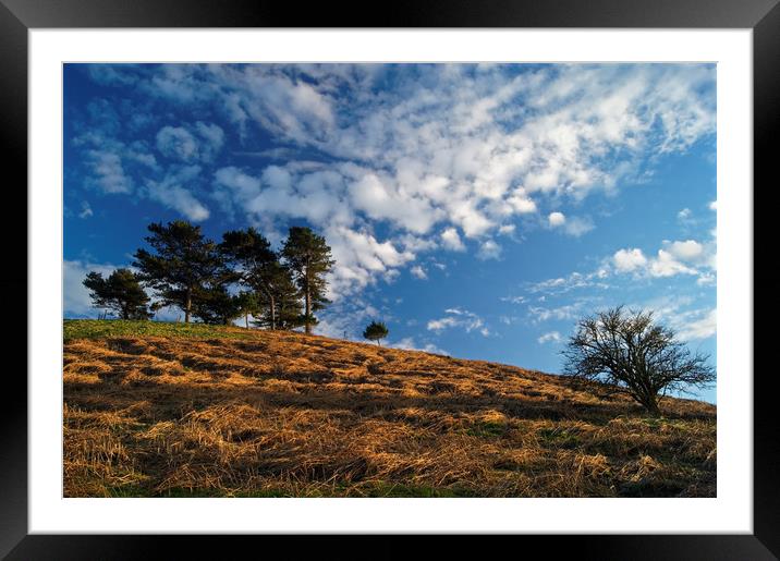 Colmers Hill                        Framed Mounted Print by Darren Galpin