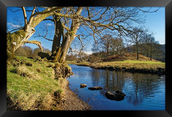 Banks of the River Brathay                       Framed Print by Darren Galpin