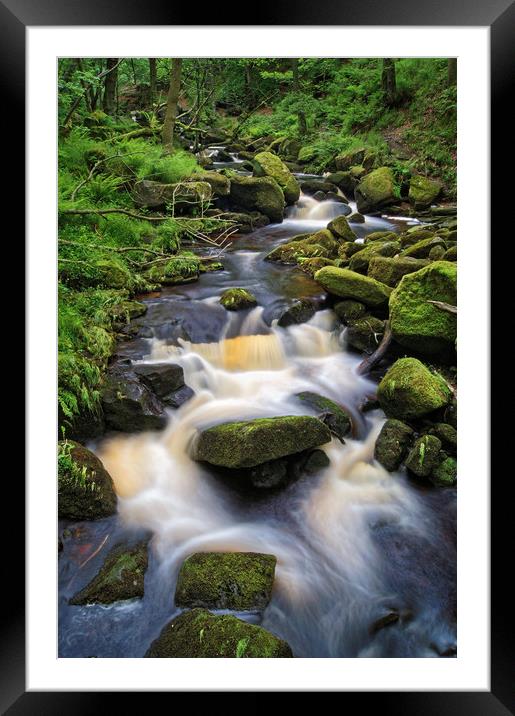 Padley Gorge                     Framed Mounted Print by Darren Galpin