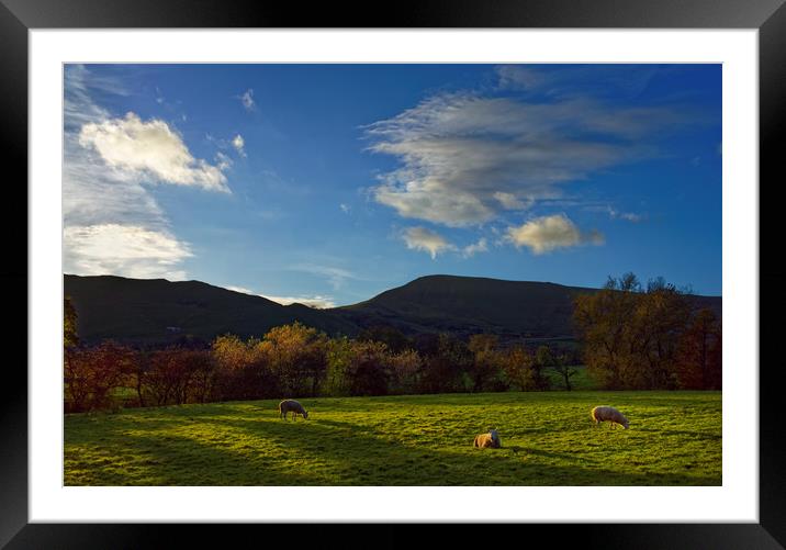 Sheep Grazing in Hope Valley                       Framed Mounted Print by Darren Galpin