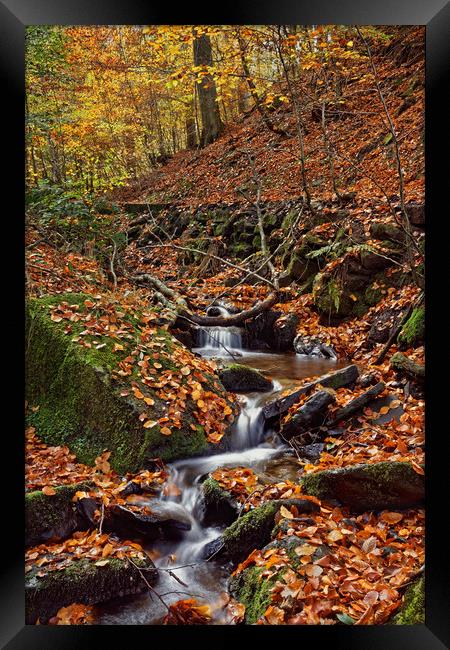 Porter Clough in Autumn                            Framed Print by Darren Galpin