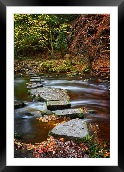Rivelin Stepping Stones                            Framed Mounted Print by Darren Galpin