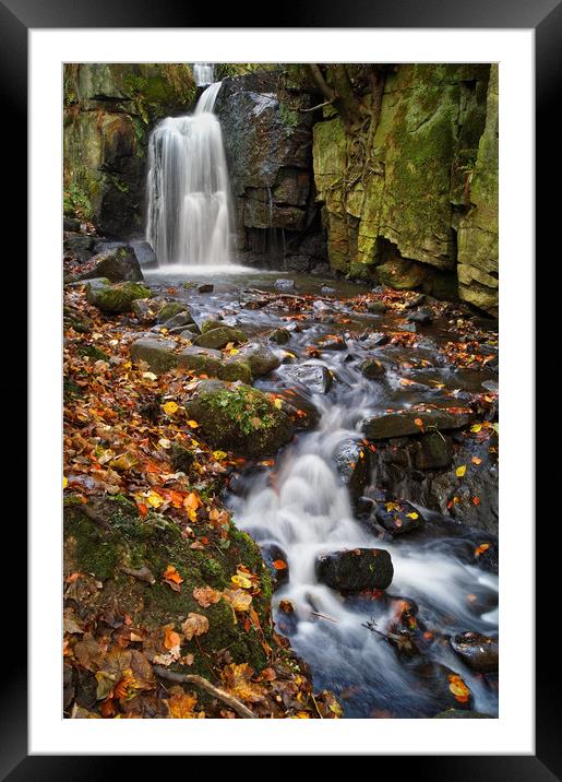 Lumsdale Falls Near Matlock                     Framed Mounted Print by Darren Galpin