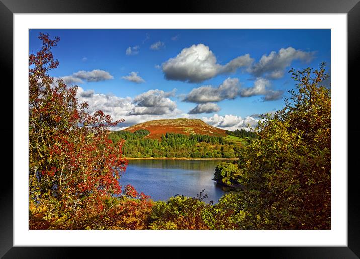 Burrator and Sheepstor In Autumn                   Framed Mounted Print by Darren Galpin