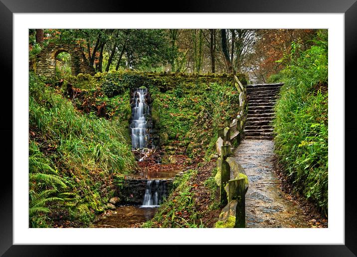 Ninesprings Country Park, Yeovil                   Framed Mounted Print by Darren Galpin