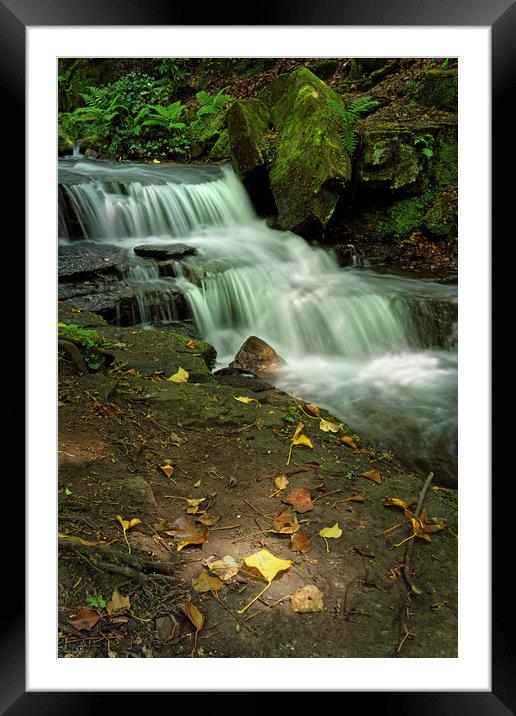 Glowing Beauty at Lumsdale                         Framed Mounted Print by Darren Galpin
