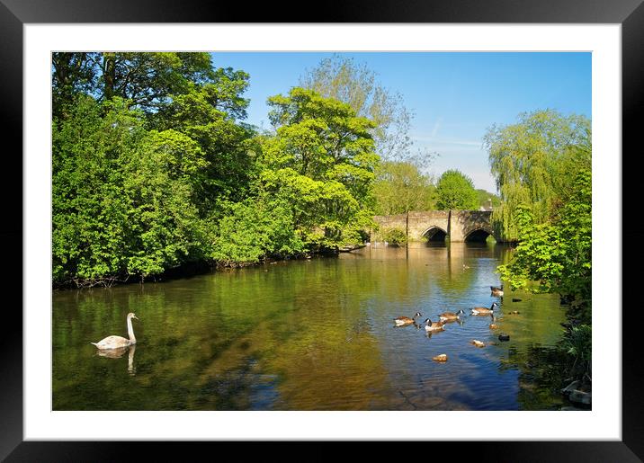Bakewell Bridge & River Wye                       Framed Mounted Print by Darren Galpin