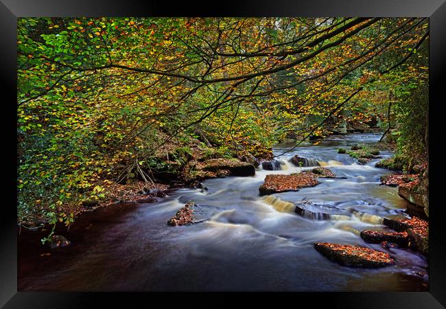  River Rivelin                               Framed Print by Darren Galpin