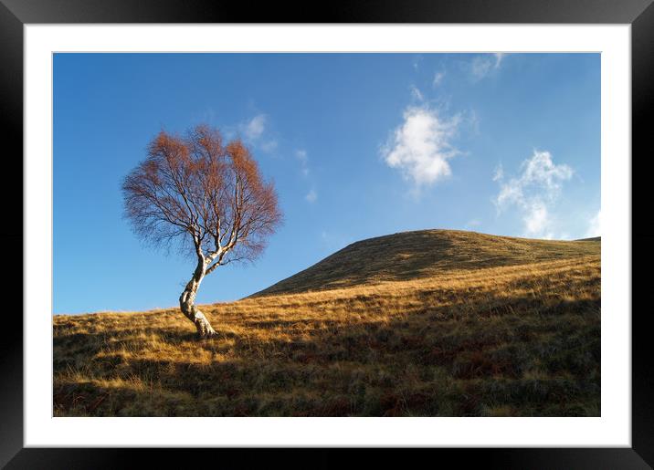 Lone Tree & Dean Hill                    Framed Mounted Print by Darren Galpin