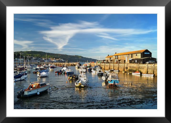 Lyme Regis Harbour                        Framed Mounted Print by Darren Galpin