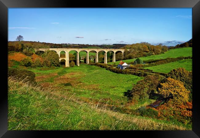 Cannington Viaduct, Uplyme                         Framed Print by Darren Galpin