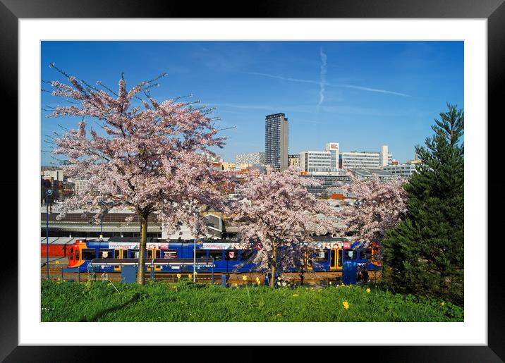 Sheffield Skyline from South St Park               Framed Mounted Print by Darren Galpin