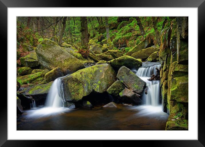 Padley Gorge in Spring                             Framed Mounted Print by Darren Galpin
