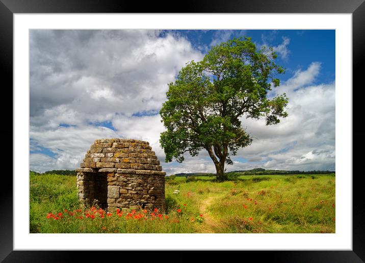 Stone Hut & Tree, Baslow, Derbyshire               Framed Mounted Print by Darren Galpin