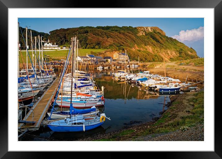 Axmouth Harbour & Haven Cliff                      Framed Mounted Print by Darren Galpin
