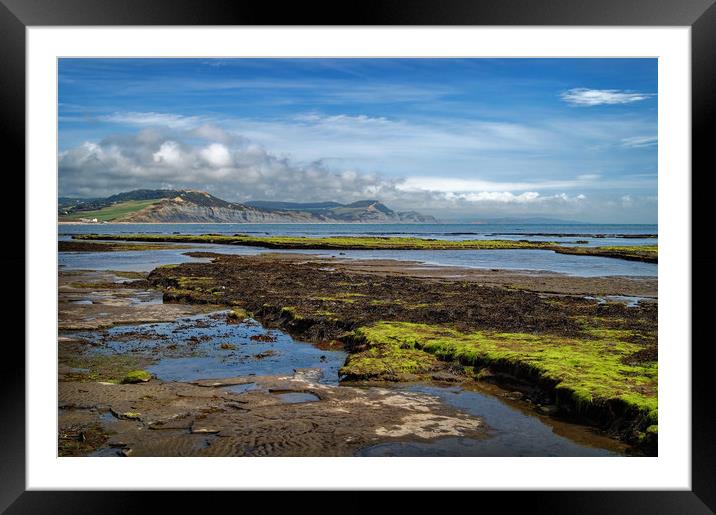 Lyme Bay at Low Tide                      Framed Mounted Print by Darren Galpin