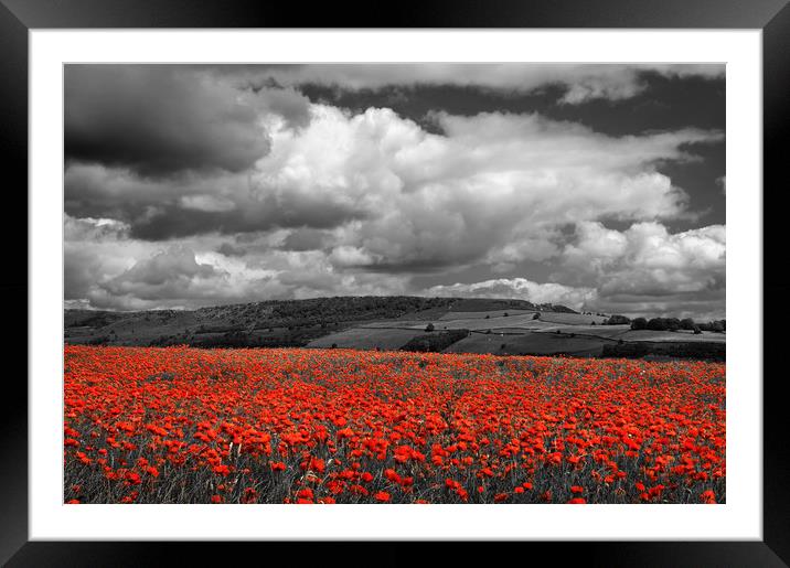 Poppy Field near Baslow,Derbyshire                 Framed Mounted Print by Darren Galpin