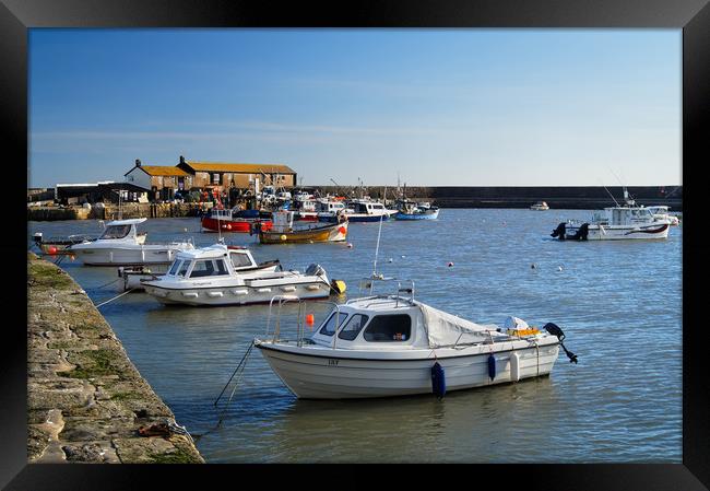 Lyme Regis Harbour                      Framed Print by Darren Galpin