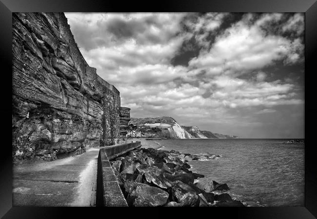 Coastline at Sidmouth                          Framed Print by Darren Galpin