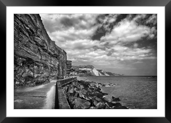 Coastline at Sidmouth                          Framed Mounted Print by Darren Galpin