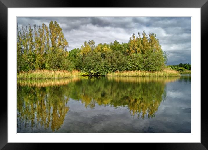 Walton Colliery Nature Park                   Framed Mounted Print by Darren Galpin