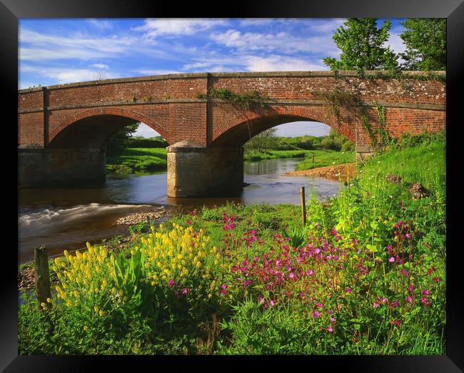 Gosford Bridge & the River Otter Framed Print by Darren Galpin