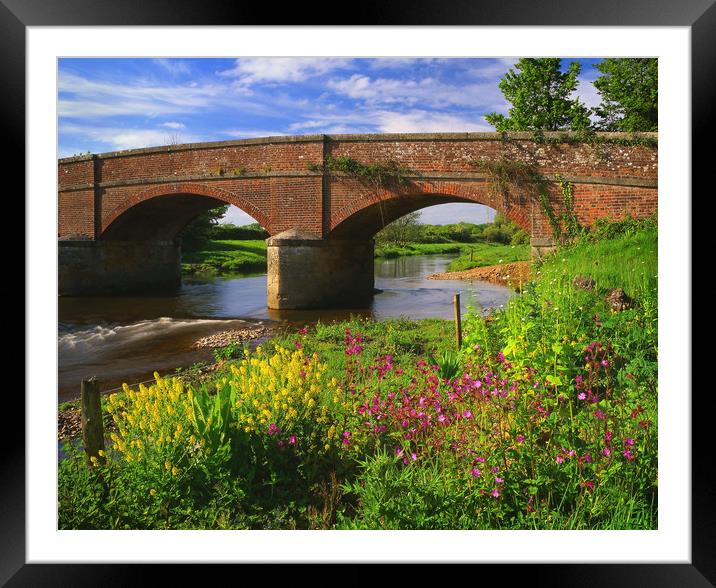 Gosford Bridge & the River Otter Framed Mounted Print by Darren Galpin