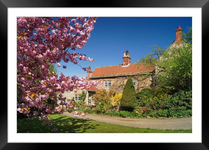 Hooton Pagnell Cottage                       Framed Mounted Print by Darren Galpin