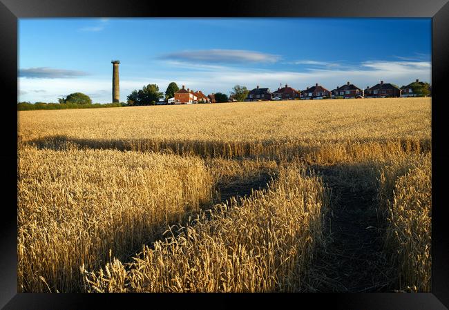Keppels Column and Field of Wheat                  Framed Print by Darren Galpin