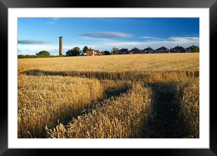 Keppels Column and Field of Wheat                  Framed Mounted Print by Darren Galpin
