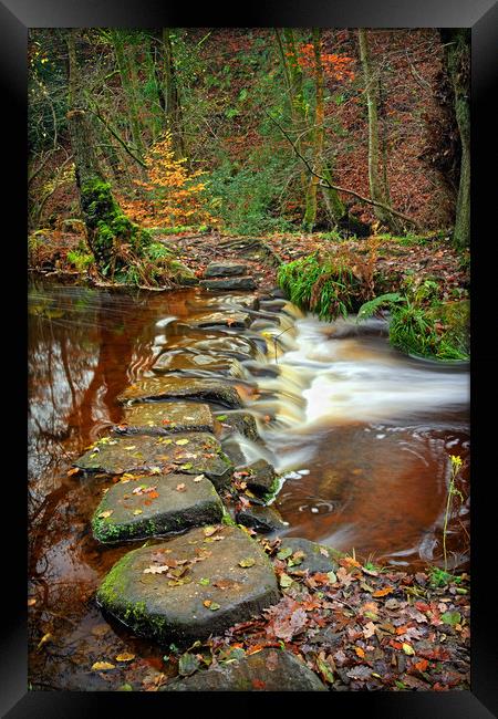   Rivelin Stepping Stones                          Framed Print by Darren Galpin