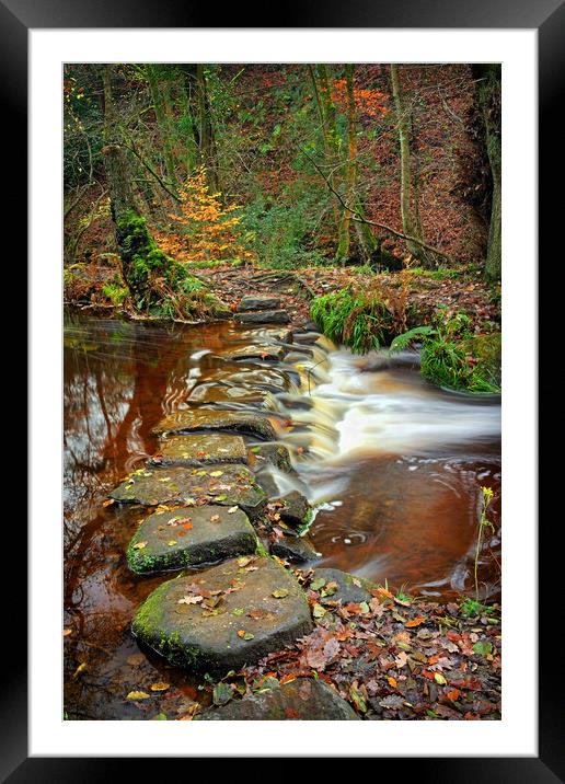  Rivelin Stepping Stones                          Framed Mounted Print by Darren Galpin