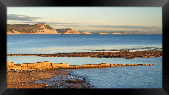 Lyme Bay Panorama                        Framed Print by Darren Galpin
