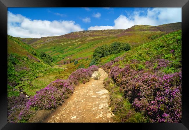 Path To Kinder Scout via Grindsbrook Framed Print by Darren Galpin