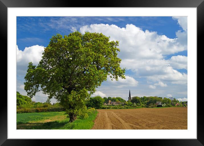 Wentworth Countryside Framed Mounted Print by Darren Galpin