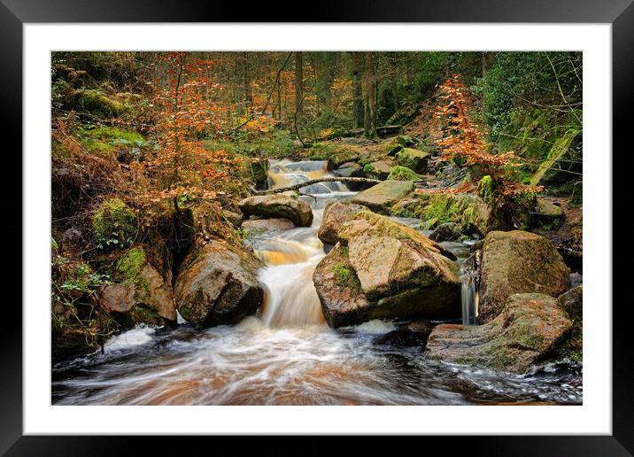 Wyming Brook in Autumn Framed Mounted Print by Darren Galpin