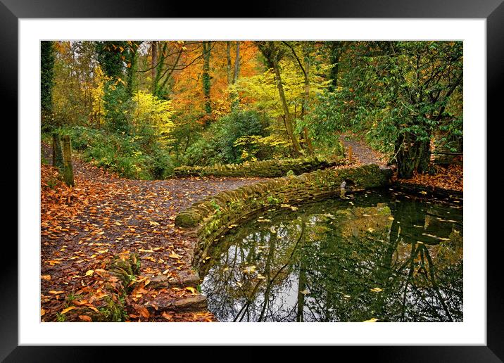 Ninesprings Country Park Framed Mounted Print by Darren Galpin
