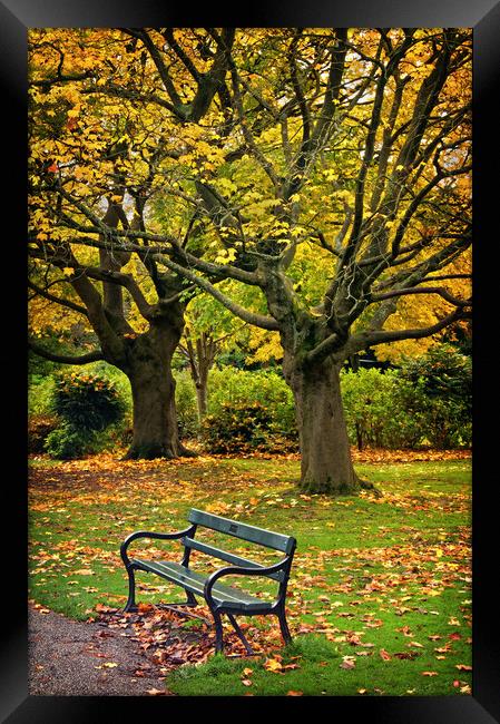 Autumn Bench Framed Print by Darren Galpin