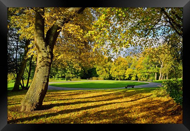 Locke Park in Autumn Framed Print by Darren Galpin