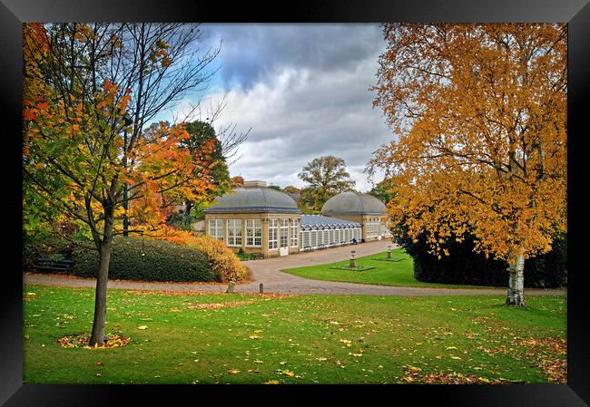 Sheffield Botanical Gardens in Autumn              Framed Print by Darren Galpin