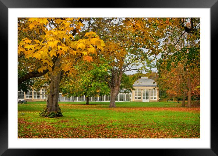 Sheffield Botanical Gardens in Autumn     Framed Mounted Print by Darren Galpin