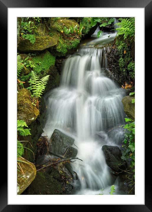 Endcliffe Park Waterfall                       Framed Mounted Print by Darren Galpin