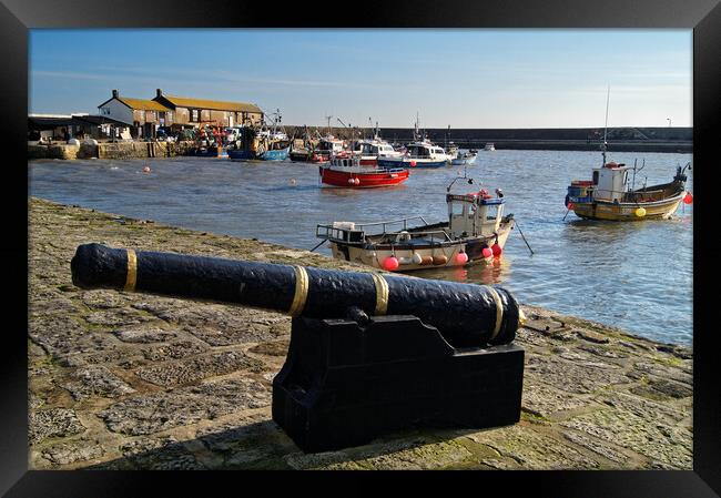 Lyme Regis Harbour from North Wall Framed Print by Darren Galpin
