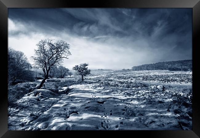 Lawrence Field in Winter Framed Print by Darren Galpin