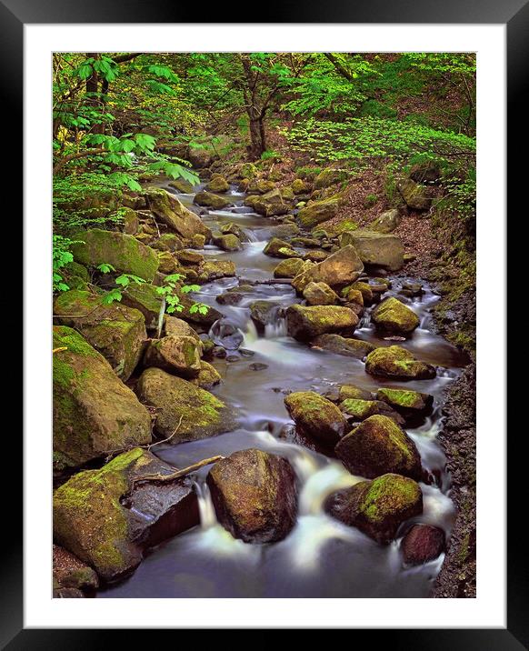 Padley Gorge in Spring Framed Mounted Print by Darren Galpin
