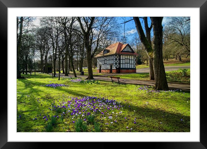 Spring in Thornes Park Framed Mounted Print by Darren Galpin