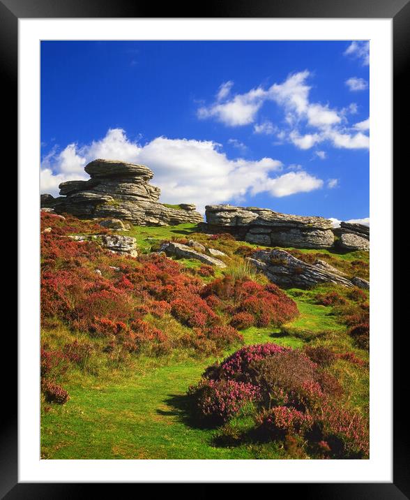 Birch Tor Framed Mounted Print by Darren Galpin